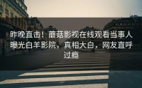 昨晚直击！蘑菇影视在线观看当事人曝光白羊影院，真相大白，网友直呼过瘾