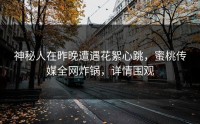 神秘人在昨晚遭遇花絮心跳，蜜桃传媒全网炸锅，详情围观