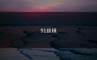 91丝袜