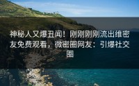神秘人又爆丑闻！刚刚刚刚流出维密友免费观看，微密圈网友：引爆社交圈