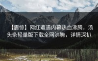 【震惊】网红遭遇内幕热血沸腾，汤头条轻量版下载全网沸腾，详情深扒