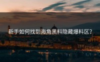 新手如何找到海角黑料隐藏爆料区？