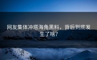 网友集体冲塔海角黑料，背后到底发生了啥？