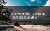 曝光！海角视频播放量三天破1000万，揭秘背后的成功秘诀