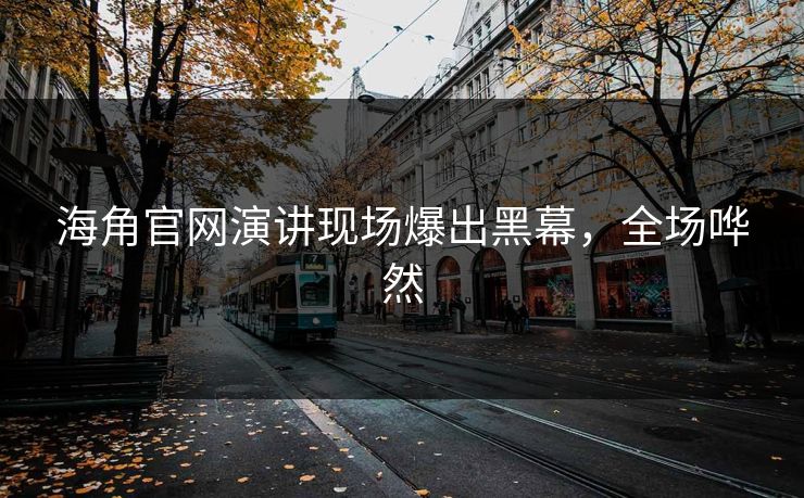 海角官网演讲现场爆出黑幕，全场哗然