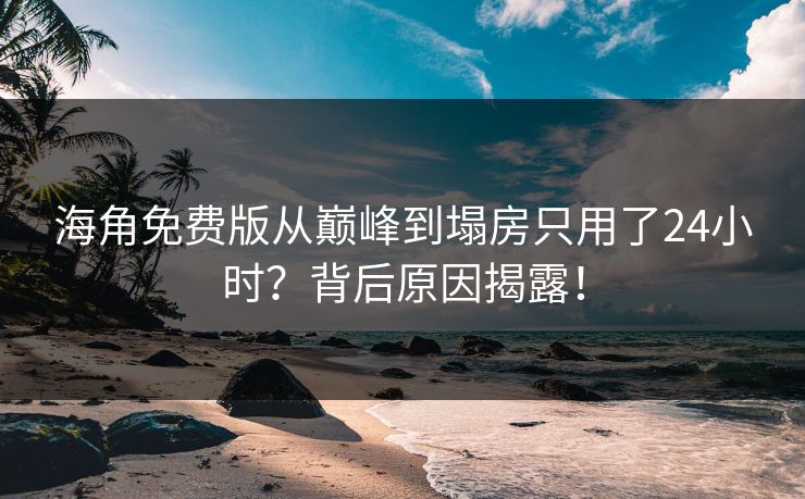 海角免费版从巅峰到塌房只用了24小时？背后原因揭露！