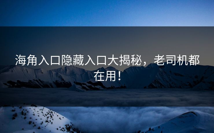 海角入口隐藏入口大揭秘，老司机都在用！