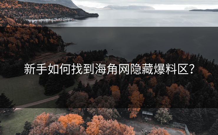 新手如何找到海角网隐藏爆料区？