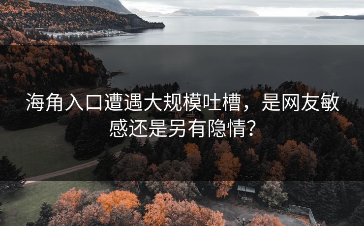 海角入口遭遇大规模吐槽，是网友敏感还是另有隐情？