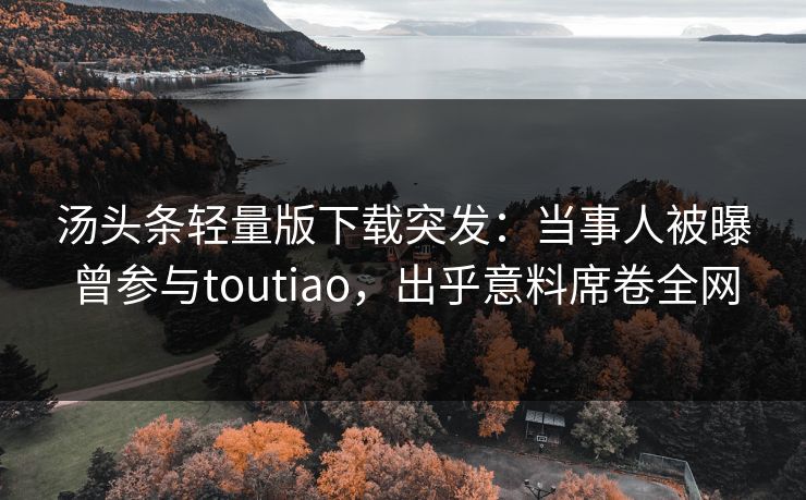 汤头条轻量版下载突发：当事人被曝曾参与toutiao，出乎意料席卷全网